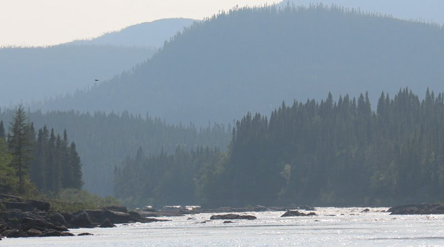 Protecting the magpie river