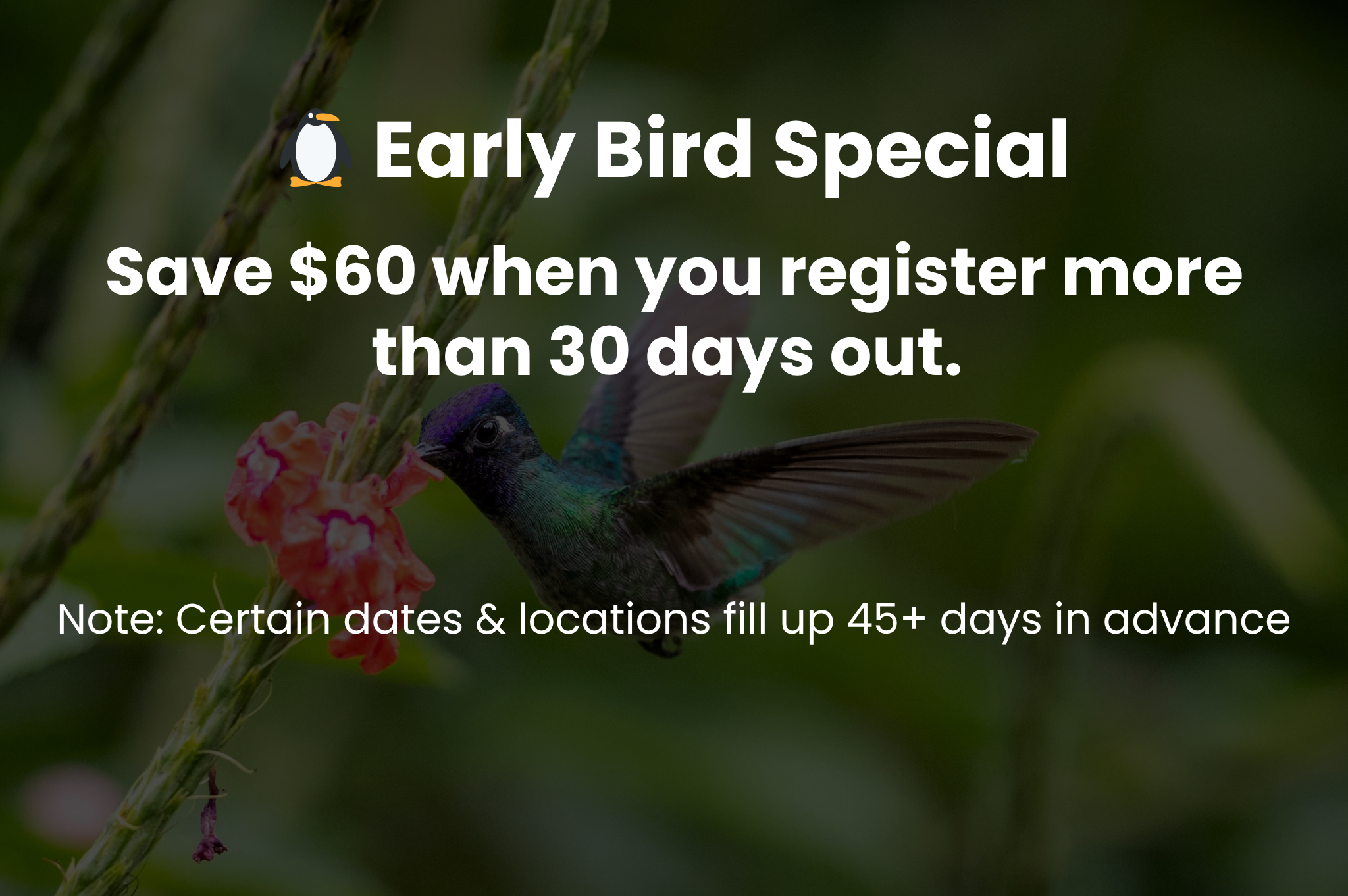 Early Bird Special — save $60 when you register 30+ days early for Boreal River Rescue and wilderness medicine courses.