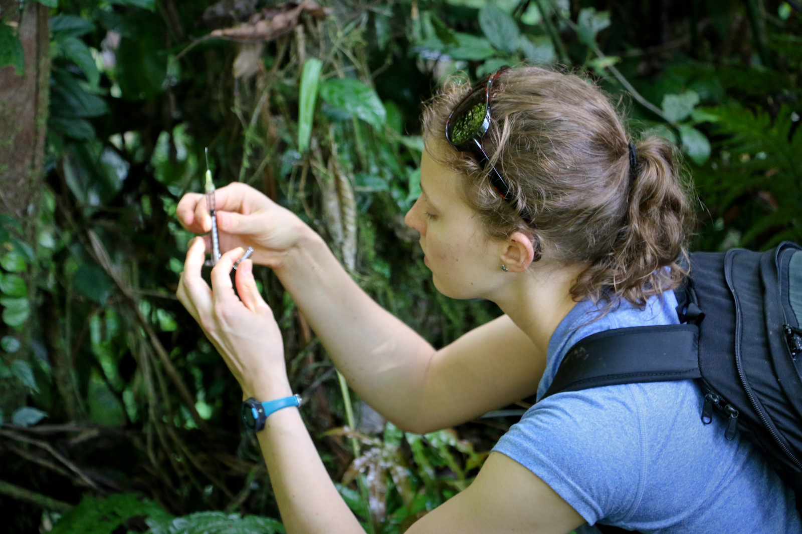 Costa Rica Wilderness First Responder (WFR) course